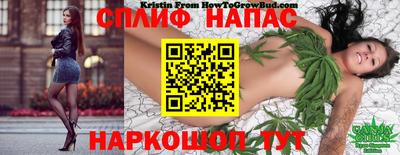 бошки Будённовск