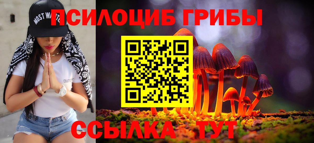 Галлюциногенные грибы Psilocybe  Вход с VPN  Химки 